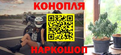 ГАЛЛЮЦИНОГЕННЫЕ ГРИБЫ Коммунар
