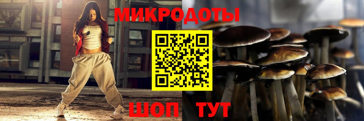 Псилоцибиновые грибы прущие грибы Крымск